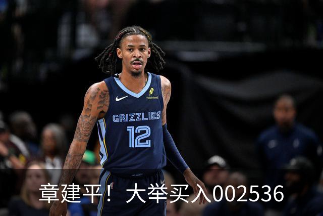 章建平！大举买入002536